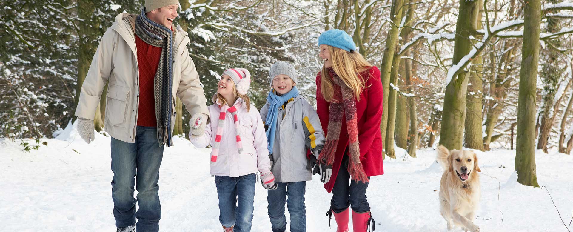 Gesund durch die Weihnachtszeit Gesund durch die Weihnachtszeit