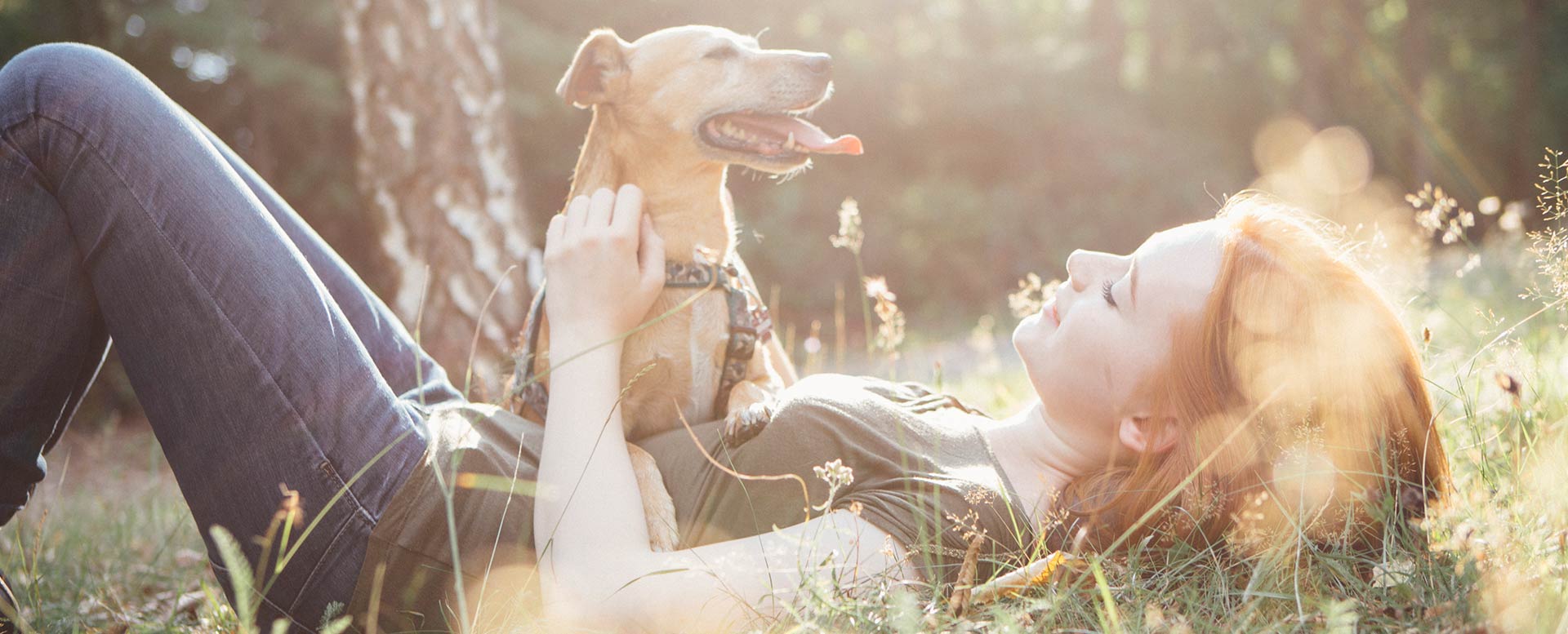 Welcher Hund passt zu mir Welcher Hund passt zu mir