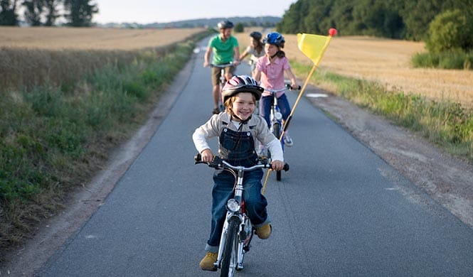 Fähnchen/Wimpel Kinder Fahrrad Fähnchen/Wimpel Kinder Fahrrad