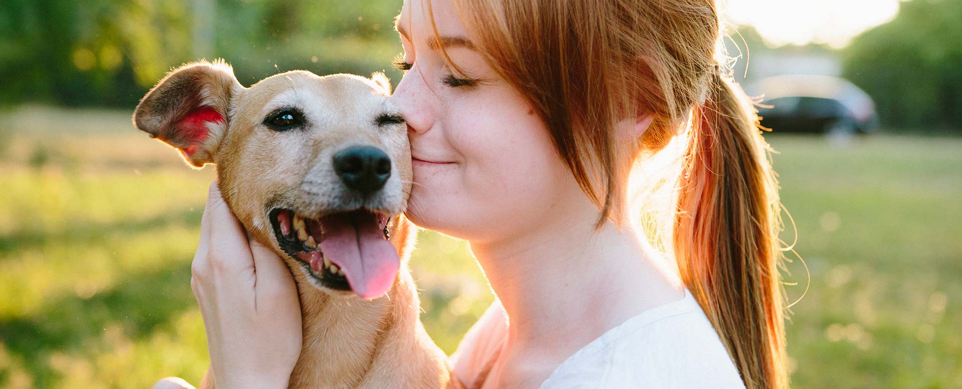 Hund entlaufen Tipps Hund entlaufen Tipps