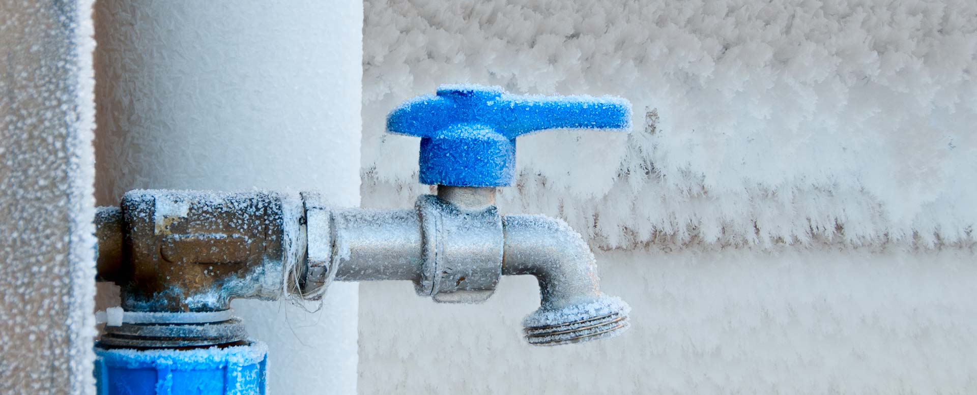 Wasser an den Außenhähnen ausdrehen Wasser an den Außenhähnen ausdrehen